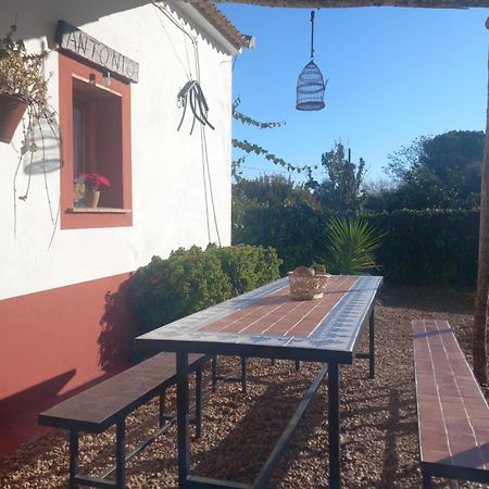 Casa Rural Camino De Los Molinos Y Su Establo La Puebla de los Infantes Eksteriør bilde