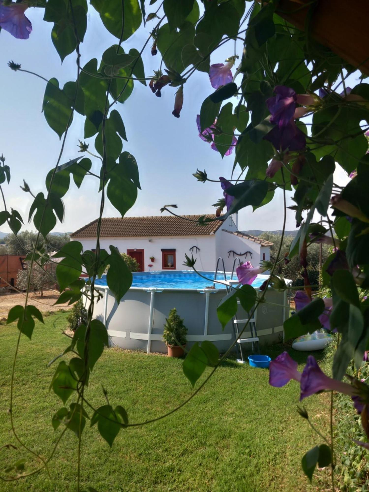 Casa Rural Camino De Los Molinos Y Su Establo La Puebla de los Infantes Eksteriør bilde