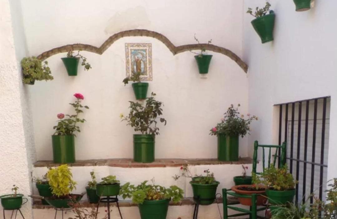 Casa Rural Camino De Los Molinos Y Su Establo La Puebla de los Infantes Eksteriør bilde