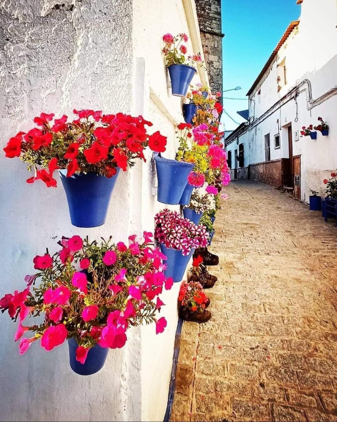 Casa Rural Camino De Los Molinos Y Su Establo La Puebla de los Infantes Eksteriør bilde